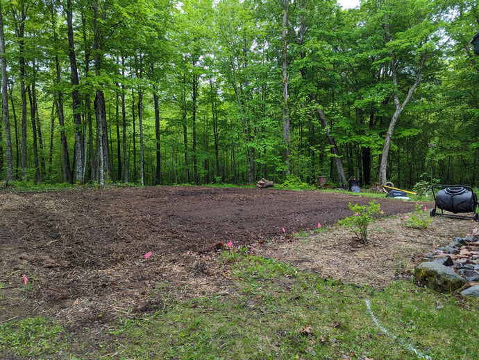Garden Update from the Forest Farm - May 2024