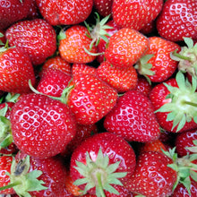 Load image into Gallery viewer, Fresh Strawberry Topping 1/2 Pint
