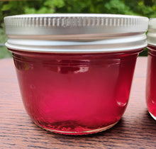 Load image into Gallery viewer, Cranberry Jelly 1/2 Pint Jar
