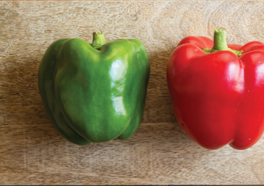 King Arthur Sweet Pepper Plant